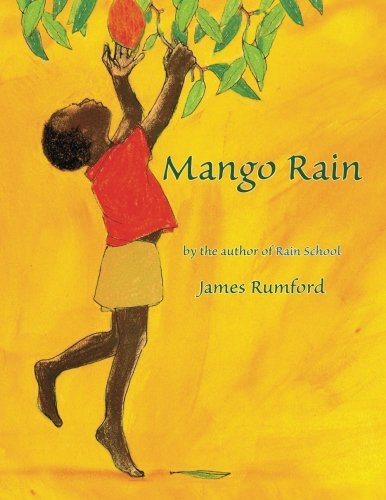 Mindful Muslim Reader Mango Rain book review